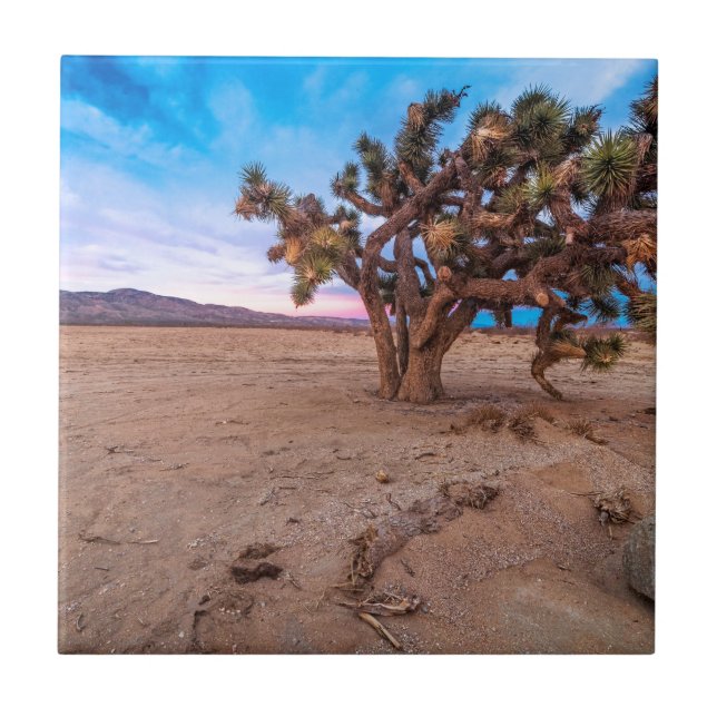 Mojave-Joshua-Baum Fliese (Vorderseite)