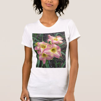 Mojave-Morgen auf einer T T-Shirt