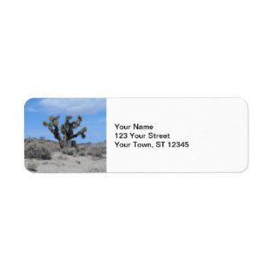 Mojave-Wüsten-Joshua-Baum