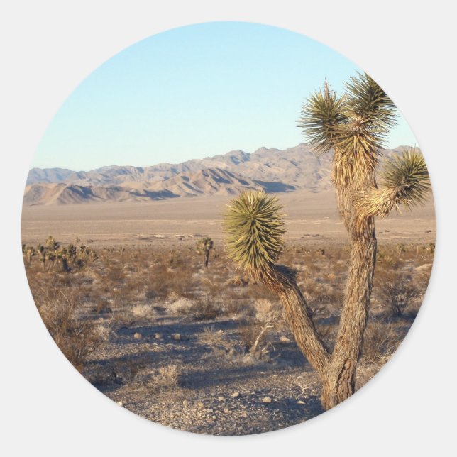 Mojave-Wüstenszene 01 Runder Aufkleber (Vorderseite)