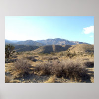 Mojave-Wüstenszene 05