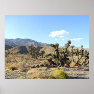 Mojave-Wüstenszene 06 Poster