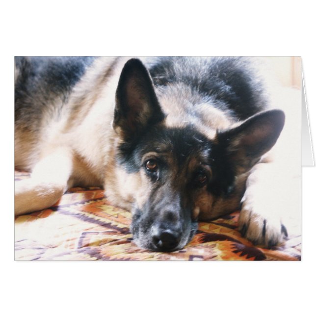 Mojia (Vorderseite (Horizontal))