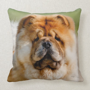 Mojo Chow Throw Kissen