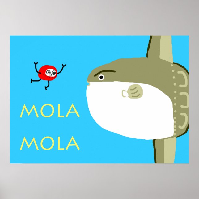 MOLA MOLA POSTER (Vorne)