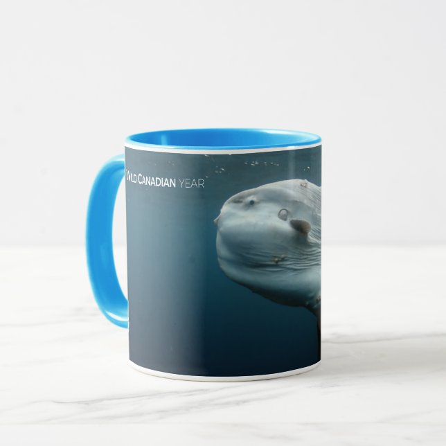 Mola Mola Tasse (Vorderseite Links)