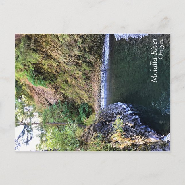 Molalla River, OR Postkarte (Vorderseite)