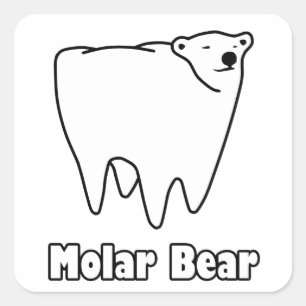 Molarer Bärn-polarer Zahn-Bär Quadratischer Aufkleber