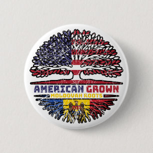 Moldau Moldau USA USA Vereinigte Staaten Button