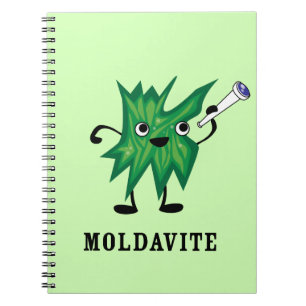 Moldavite Notizblock