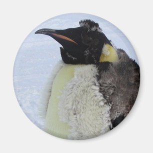 Molding Kaiser Pinguin Magnet