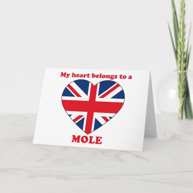 Mole Feiertagskarte (Vorderseite)