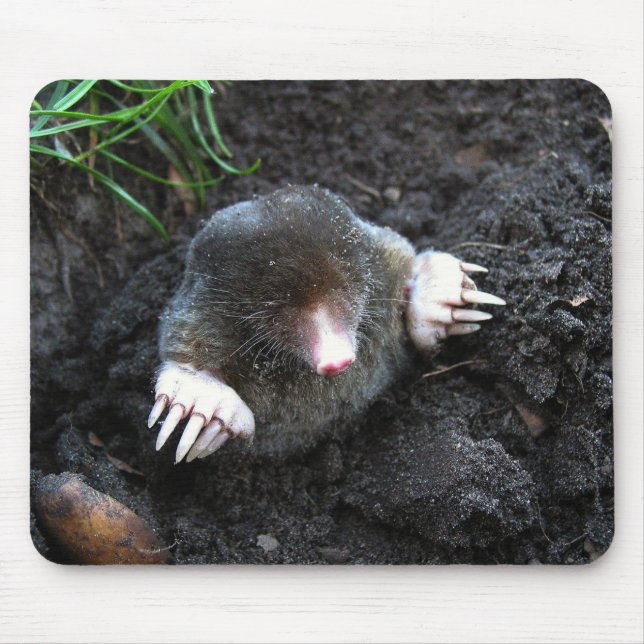 Mole Mousepad (Vorne)