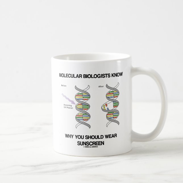 Molekularbiologen wissen, warum man Sonnenschutzmi Kaffeetasse (Rechts)