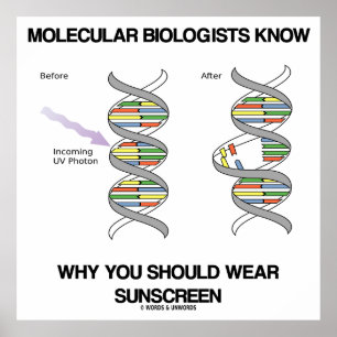 Molekularbiologen wissen, warum man Sonnenschutzmi Poster