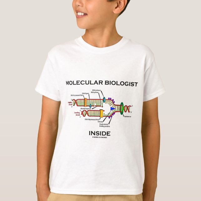 Molekularbiologin Inside (DNA-Replikation) T-Shirt (Vorderseite)