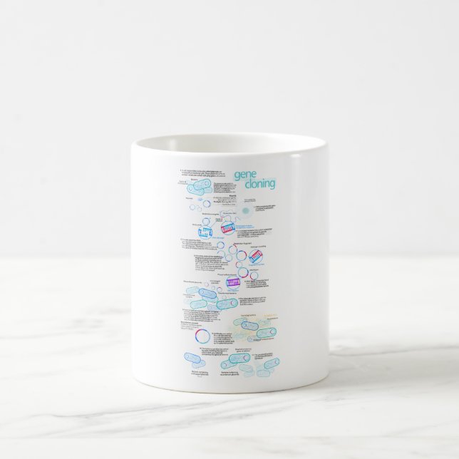 Molekulares Klonen unter Verwendung der Bakterien Kaffeetasse (Mittel)