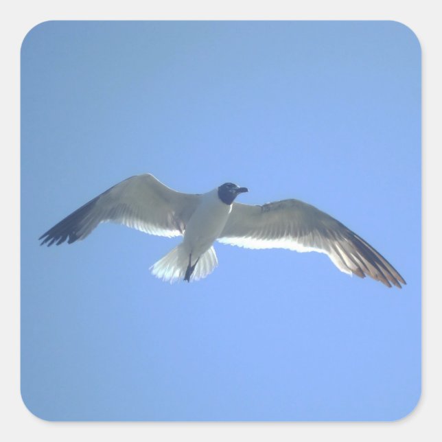 Möller im Flug Quadratischer Aufkleber (Vorderseite)