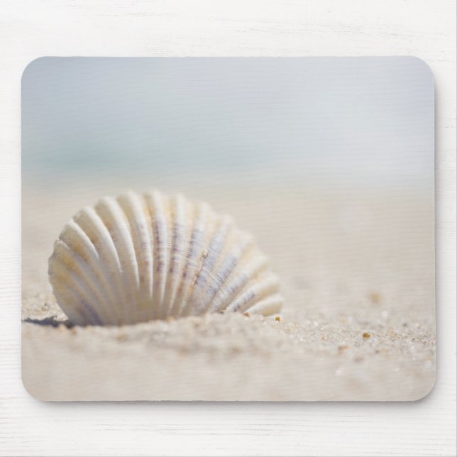 MolluskeSeashell Mousepad (Vorne)