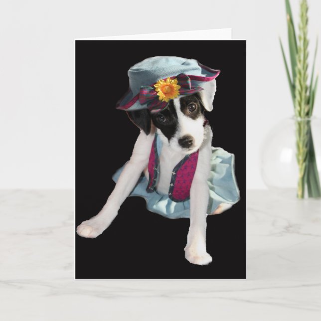 Molly Karte (Vorderseite)