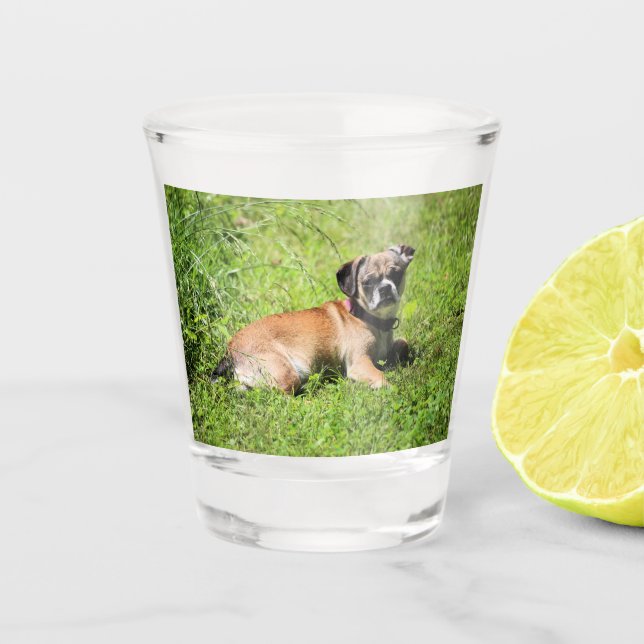 Molly Schnapsglas (Vorderseite)