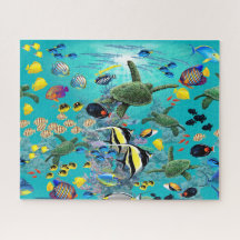 Molokini Cove Hawaiian Sea Turtle Tropical Fish