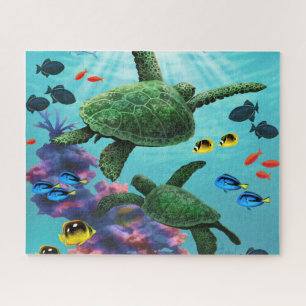 Molokini Cove Hawaiian Sea Turtles tropisch