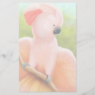 Moluccan Cockatoo-Briefpapier Briefpapier