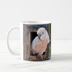 Moluccan Cockatoo Kaffeetasse