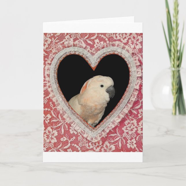 Moluccan Cockatoo Liebe Valentine Design Feiertagskarte (Vorderseite)
