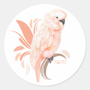 Moluccan Cockatoo Runder Aufkleber