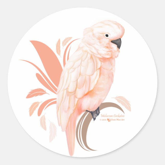 Moluccan Cockatoo Runder Aufkleber (Vorderseite)
