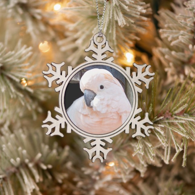 Moluccan Cockatoo Schneeflocken Zinn-Ornament (Baum)