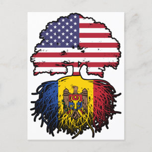 Molva Moldavan American USA United States Flag Postkarte