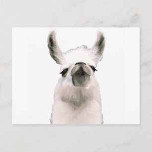 Moma Llama Postkarte
