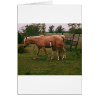 Moma-Pferd
