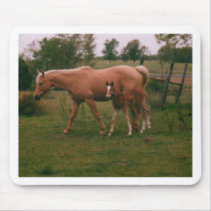 Moma Pferd und Babypferd Mousepad