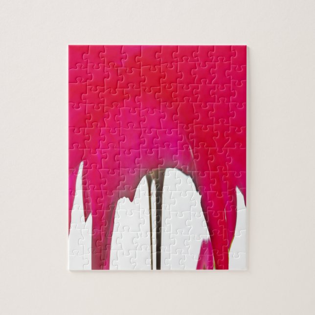 Moment erobert: Eine Rote Rose Petal Elegance (Vertikal)