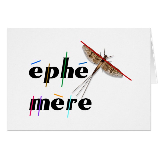 momentane Ephemere (Vorderseite (Horizontal))