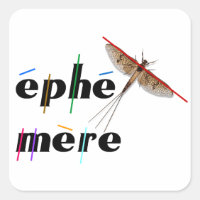 momentane Ephemere
