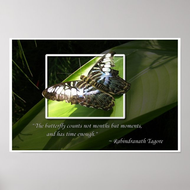 Moments in Time Poster (Vorne)