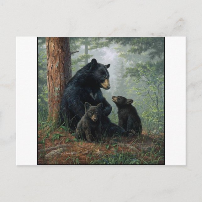 Momma Bear Postkarte (Vorderseite)