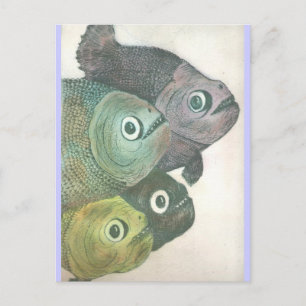 Momma-Dont-Tanz Postkarte