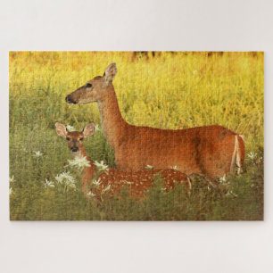 Momma und Baby Deer