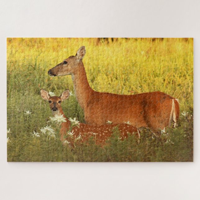 Momma und Baby Deer (Horizontal)