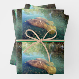 Momma und Baby Manatee - Jedem Anlass Geschenkpapier Set