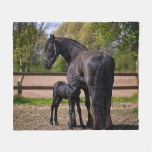 Momma und Baby-Pferd Fleecedecke