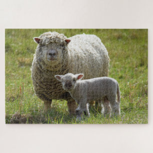 Mommas Baby Lamb - 20x30