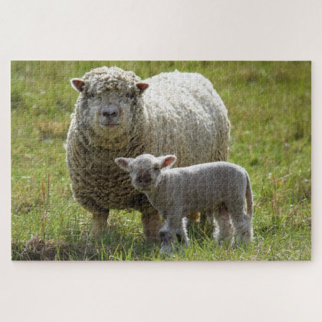 Mommas Baby Lamb - 20x30 (Horizontal)
