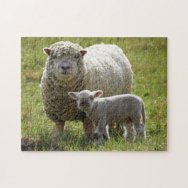 Mommas Baby Lamp - 11x14 (Horizontal)